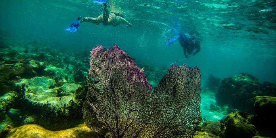 Journeys: Explore Belize - G Adventures - Belize - Image 2