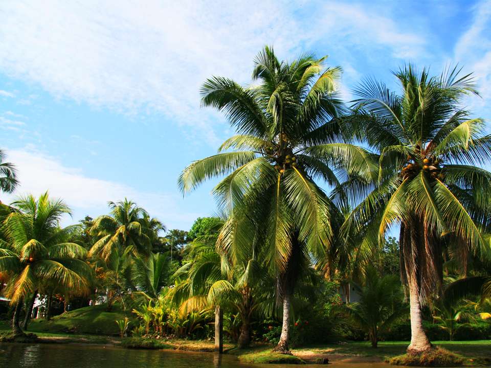 Basic Central America: Mexico & Guatemala - G Adventures - Mexico