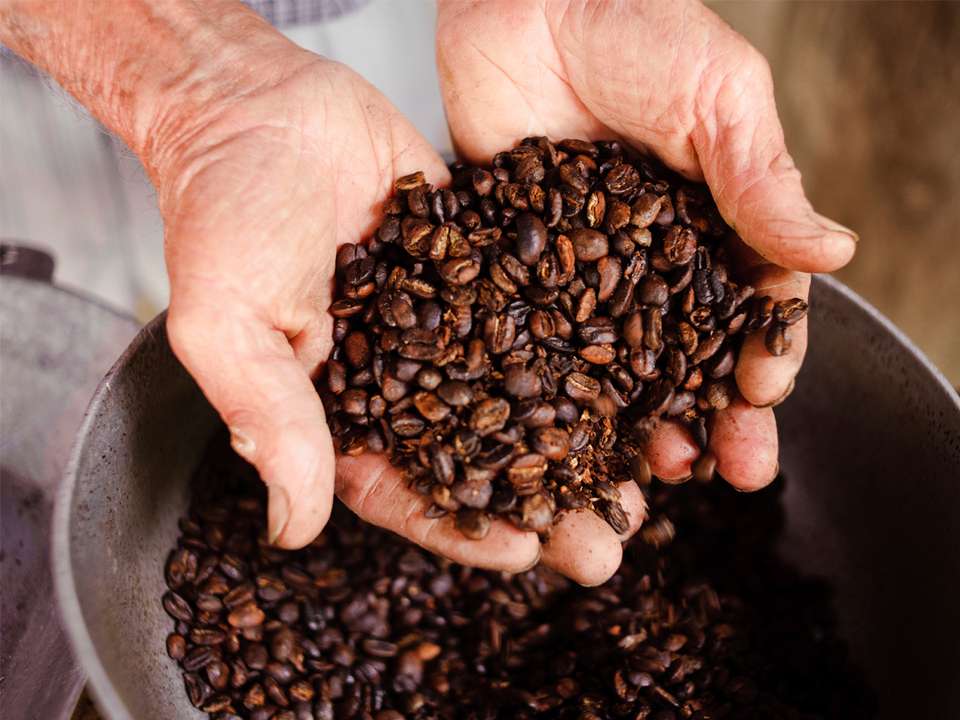 Basic Central America: Mexico & Guatemala - G Adventures - Mexico