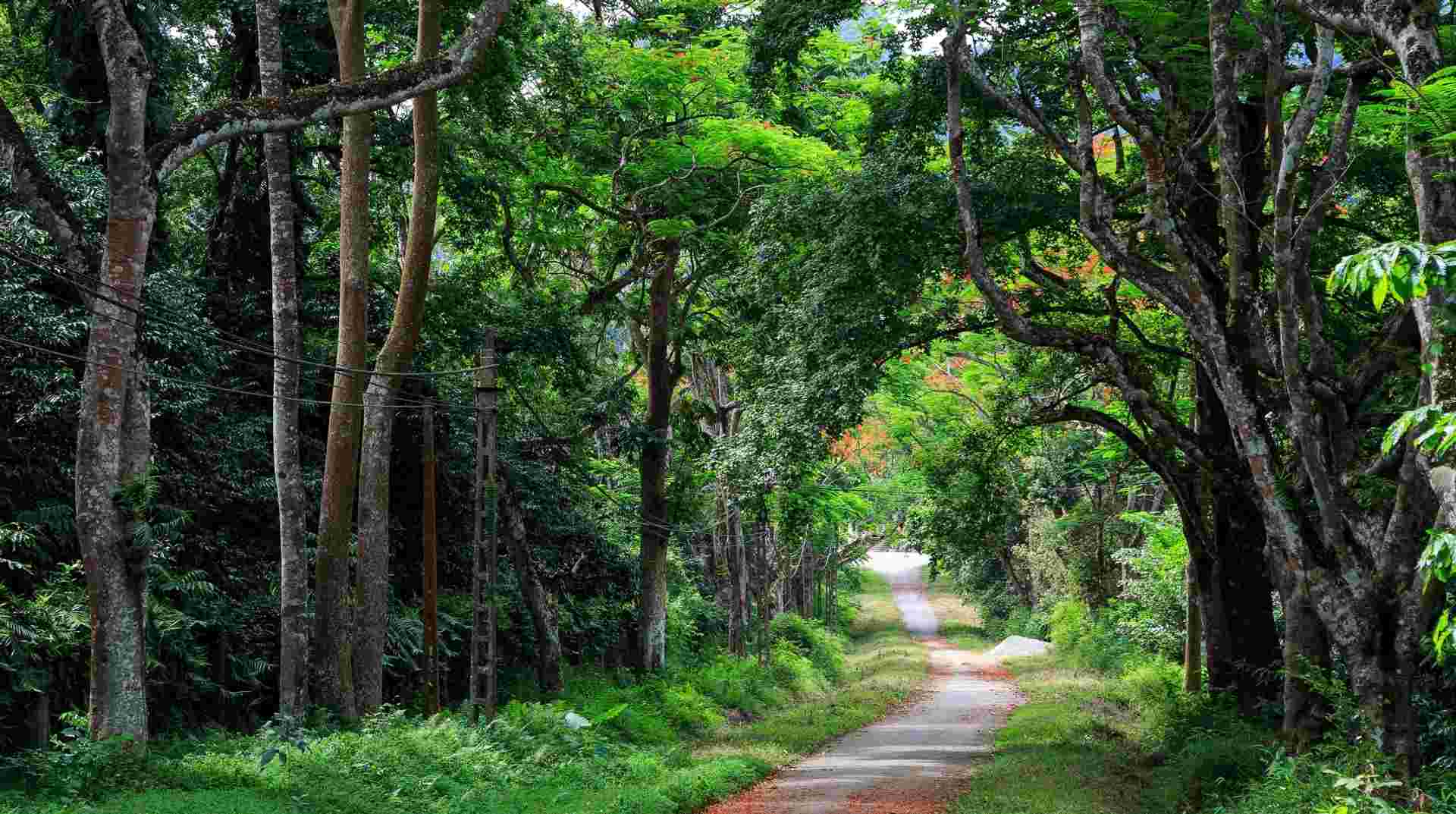 Explore Cuc Phuong National Park full day