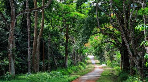 Explore Cuc Phuong National Park Full Day - September 2026