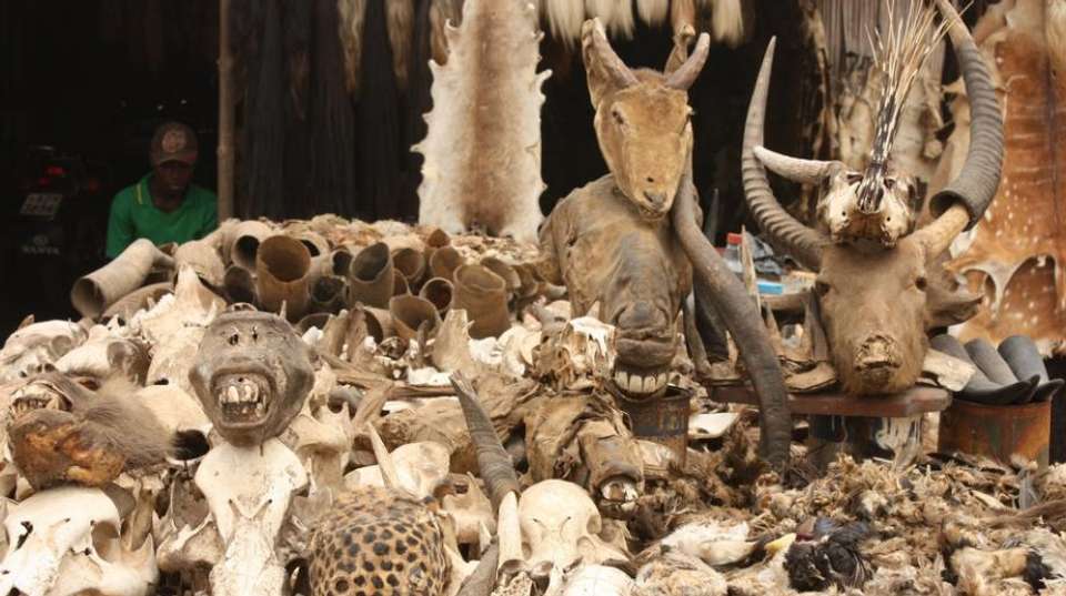 Explore Benin ,Togo & Ghana – 14 Days  - Continent Tours Ltd - Benin