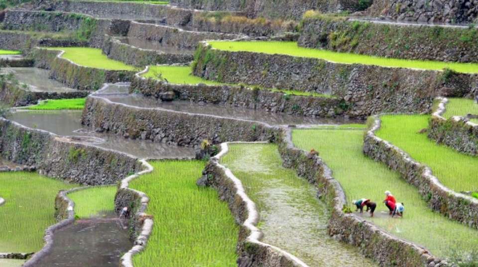 Explore Ifugao Villages - Uncharted Earth - Philippines - Image 5