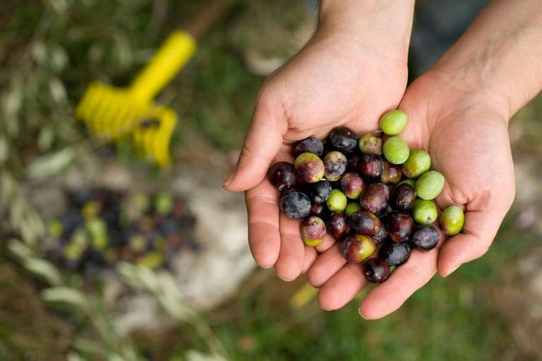 Explore Istria And Dalmatia In 8 Days, Self-drive trip - alternative tour available
