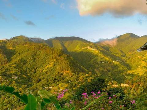 Wildlife, Landscapes And Nature Tour: Explore Jamaica