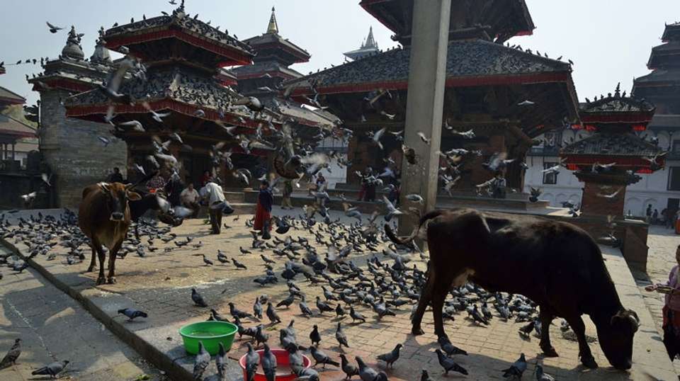 Explore Kathmandu City - Breakfree Adventures Pvt Ltd - Nepal - Image 2