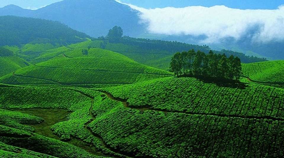 Explore Kerala, God's Own Country - Memorable India Journeys Pvt. Ltd. - India - Image 2