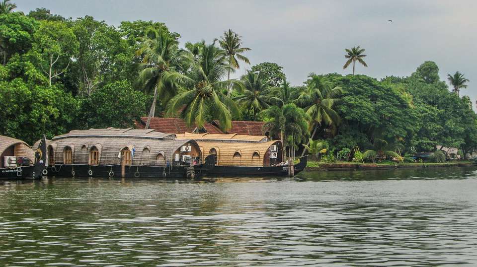 Explore Kerala, God's Own Country - Memorable India Journeys Pvt. Ltd. - India - Image 5
