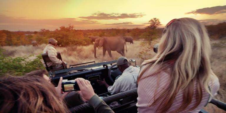 Johannesburg Wildlife Tour: Journeys: Explore Kruger National Park