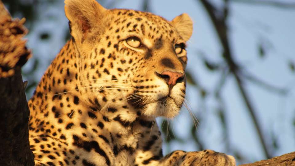 Journeys: Explore Kruger National Park - G Adventures - South Africa