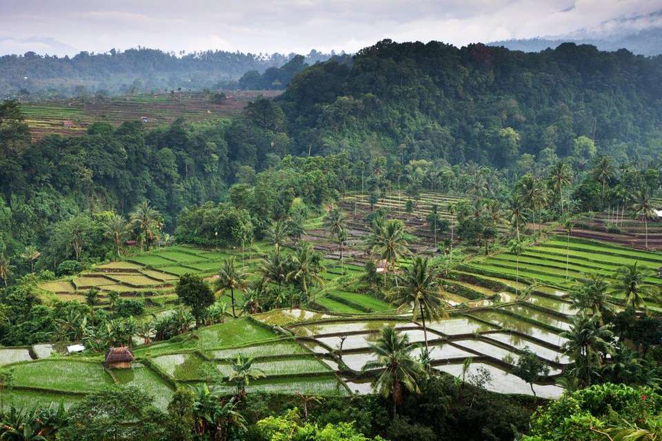 Explore Lombok, Private Tour - Destination Services - Indonesia - Image 3