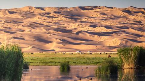 Natural Landmarks Sightseeing Tour: Explore Mongolia