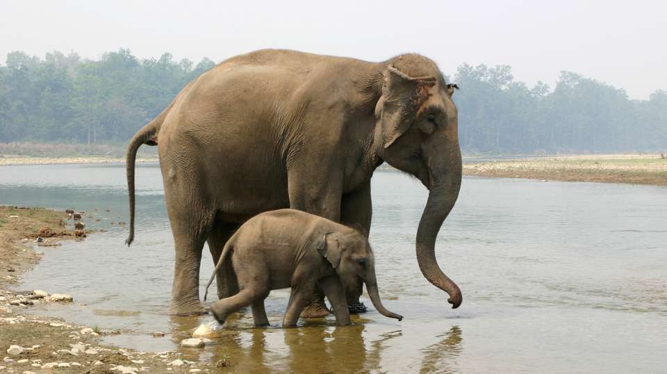 Explore Nepal in a Week: Seven Day Tour - Alpine Club Of Himalaya - Nepal - Image 4