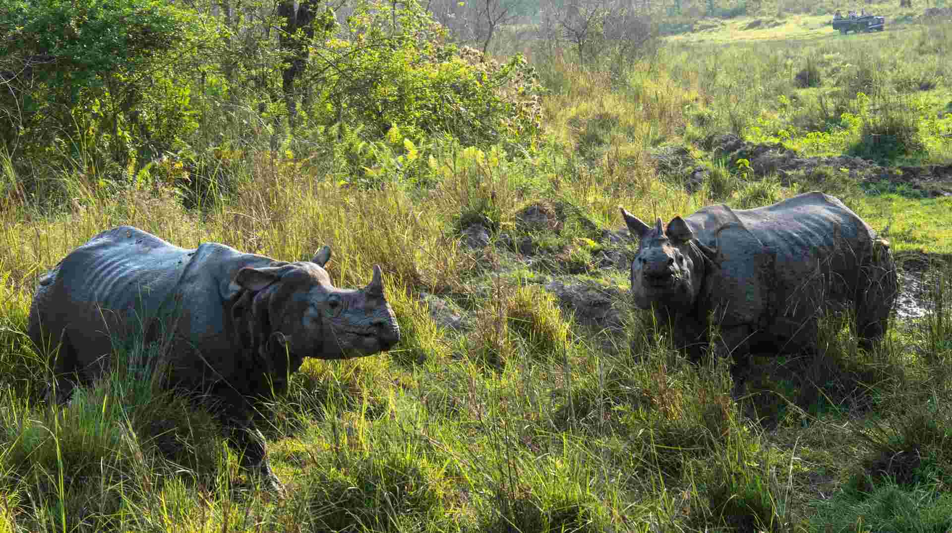 Explore Nepal Tour
