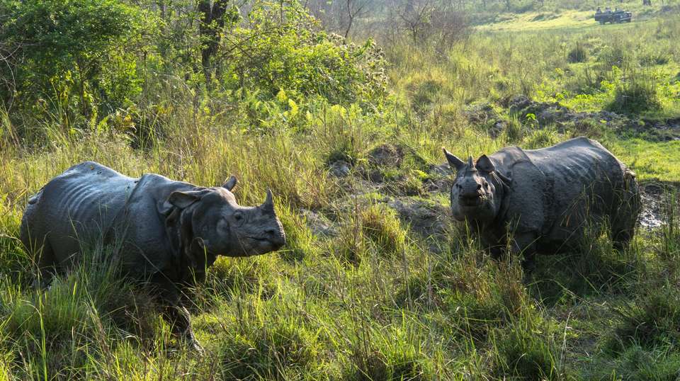 Explore Nepal Tour - Outshine Adventure Pvt Ltd - Nepal - Image 1