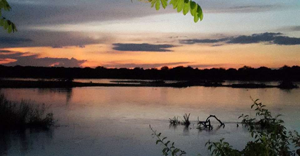 Explore Nyerere National Park - Kanuth Adventures Safari - Tanzania - Image 3
