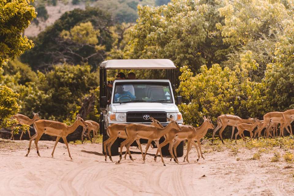 Explore Southern Africa - Intrepid Travel - South Africa - Image 7