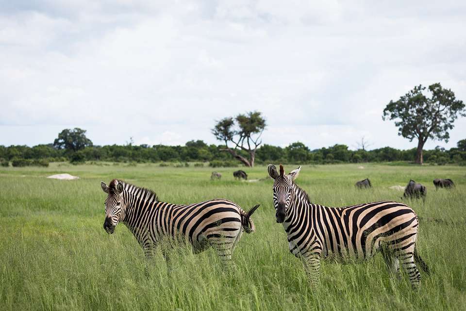 Explore Southern Africa - Intrepid Travel - South Africa - Image 10