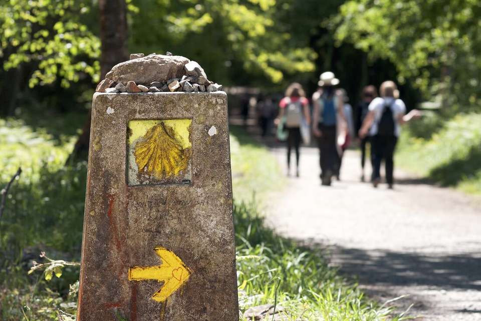 Explore Spain & Portugal - Intrepid Travel - Spain - Image 7