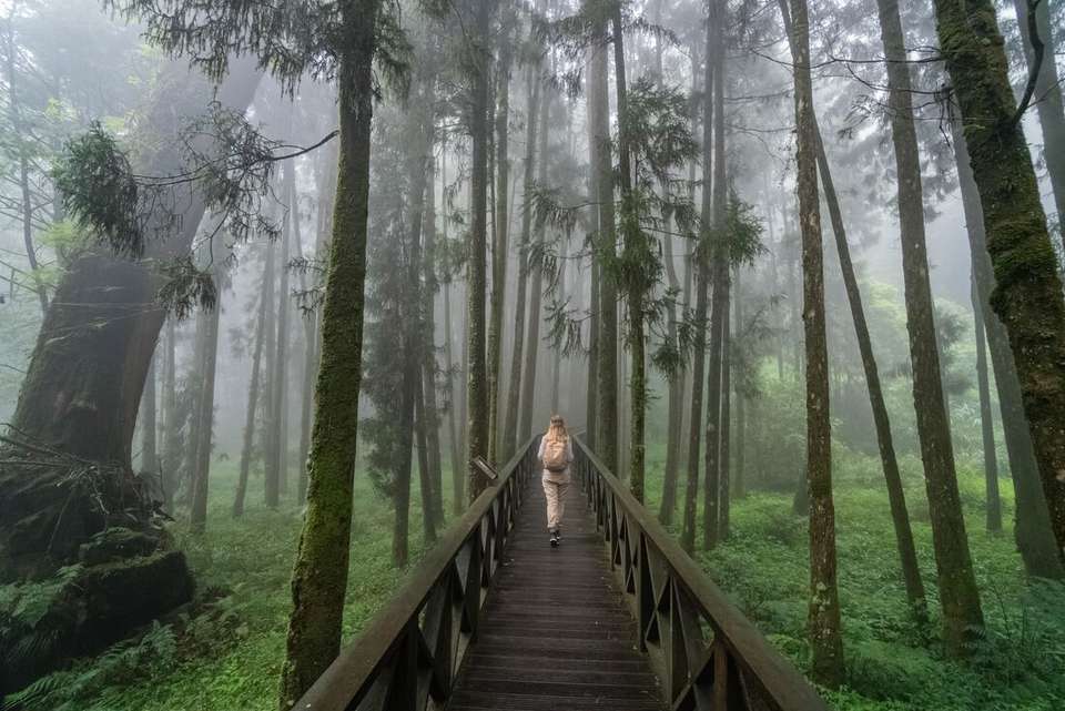 Explore Taiwan - Intrepid Travel - Taiwan - Image 4