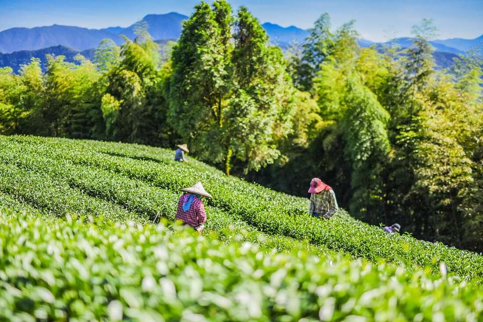 Explore Taiwan - Intrepid Travel - Taiwan - Image 6