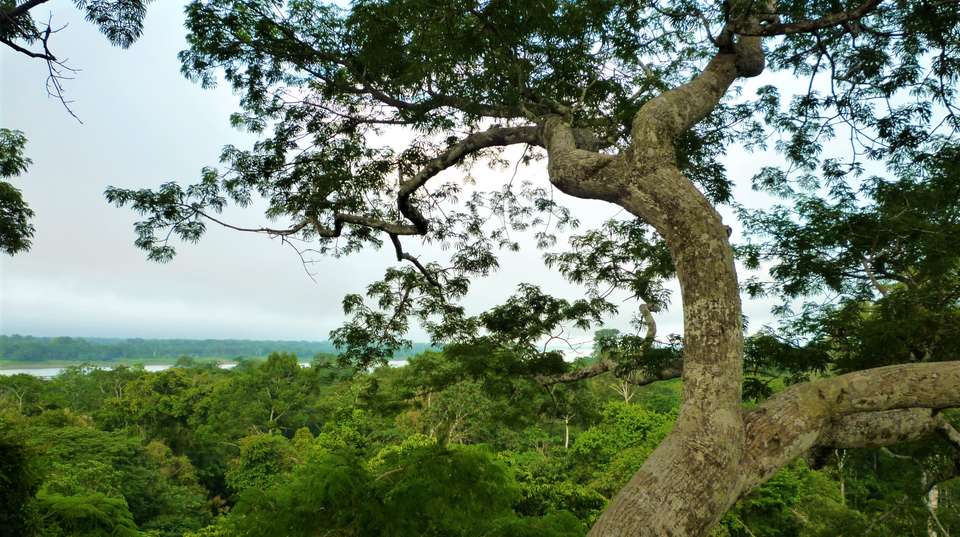 Explore The Colombian Amazon - Uncharted Earth - Colombia - Image 2