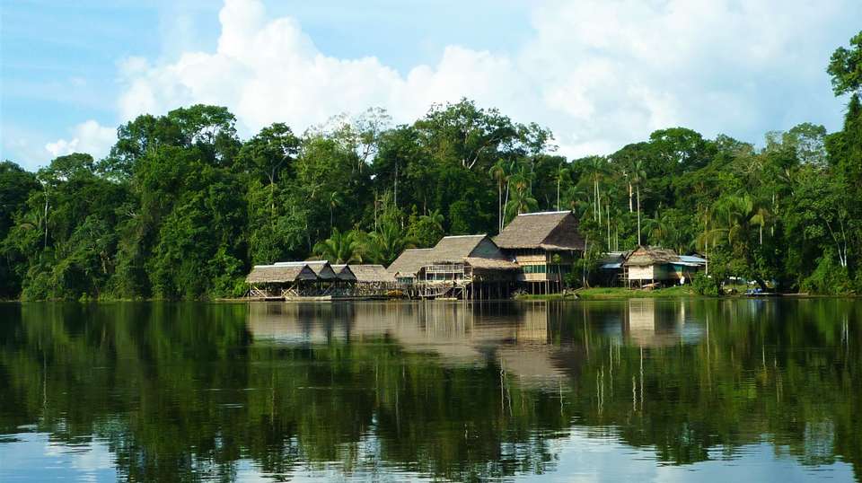 Explore The Colombian Amazon - Uncharted Earth - Colombia - Image 4
