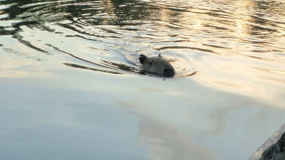 Explore The Colombian Amazon - Uncharted Earth - Colombia - Image 5