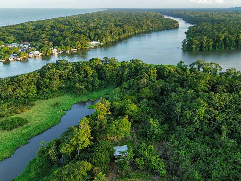 Explore Tortuguero: The Amazon of Costa Rica  - Green World Adventures - Costa Rica - Image 5