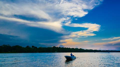 San Jose Wildlife Safaris And Game Drives Tour: Explore Tortuguero: The Amazon Of Costa Rica