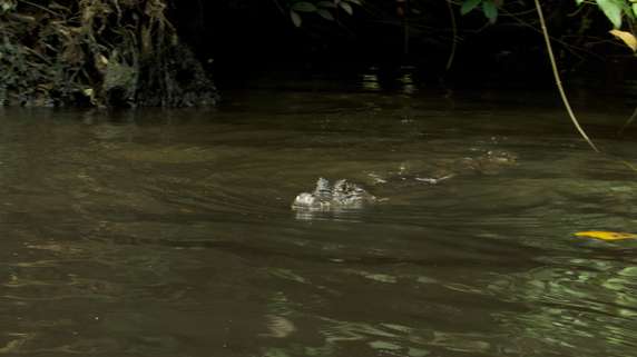 Image 3 of 9