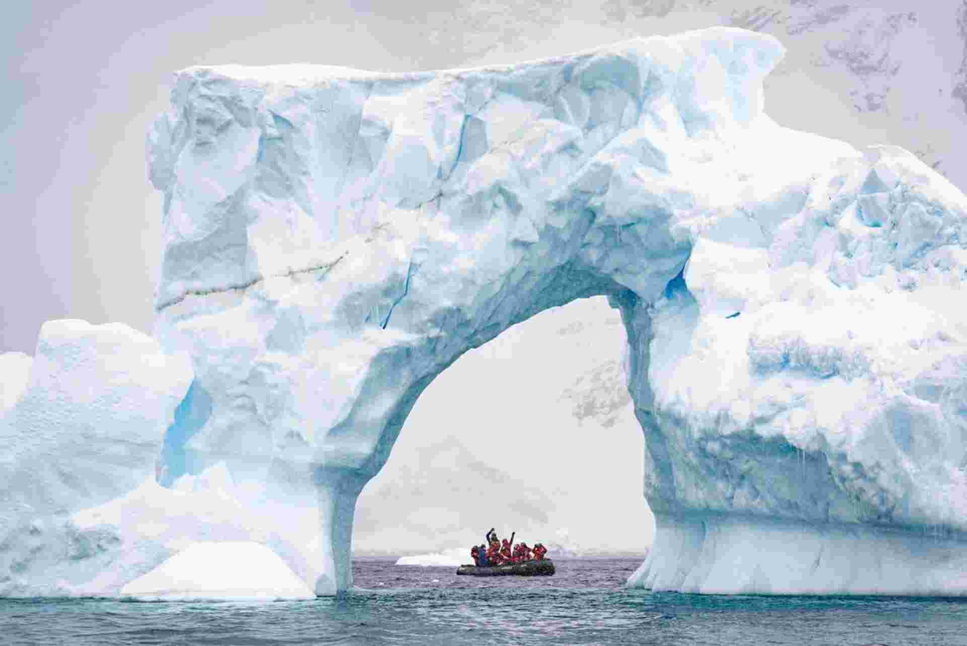 Exploring Antarctica's Spring (Ocean Albatros)