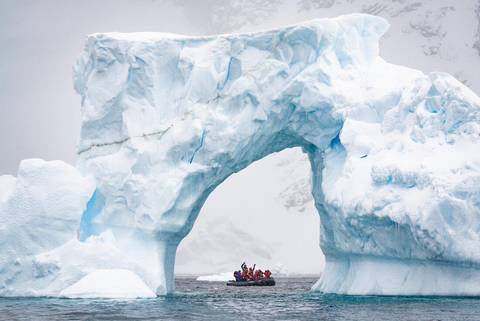South America Eco Tours: Exploring Antarctica's Spring (ocean Albatros)