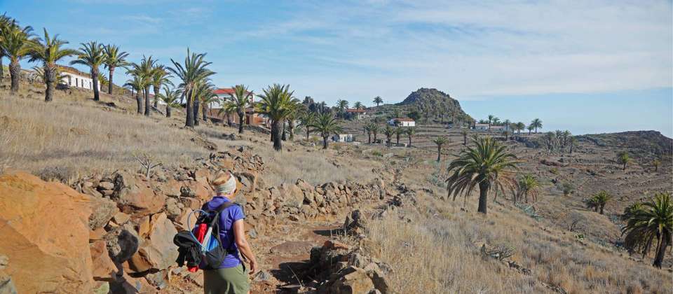 Exploring La Gomera - 11 Days - Walkers' Britain - Spain - Image 7