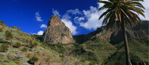Image 4 of 8