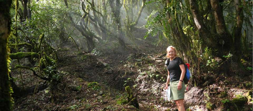 Exploring La Gomera - 8 Days - World Expeditions - Spain - Image 5