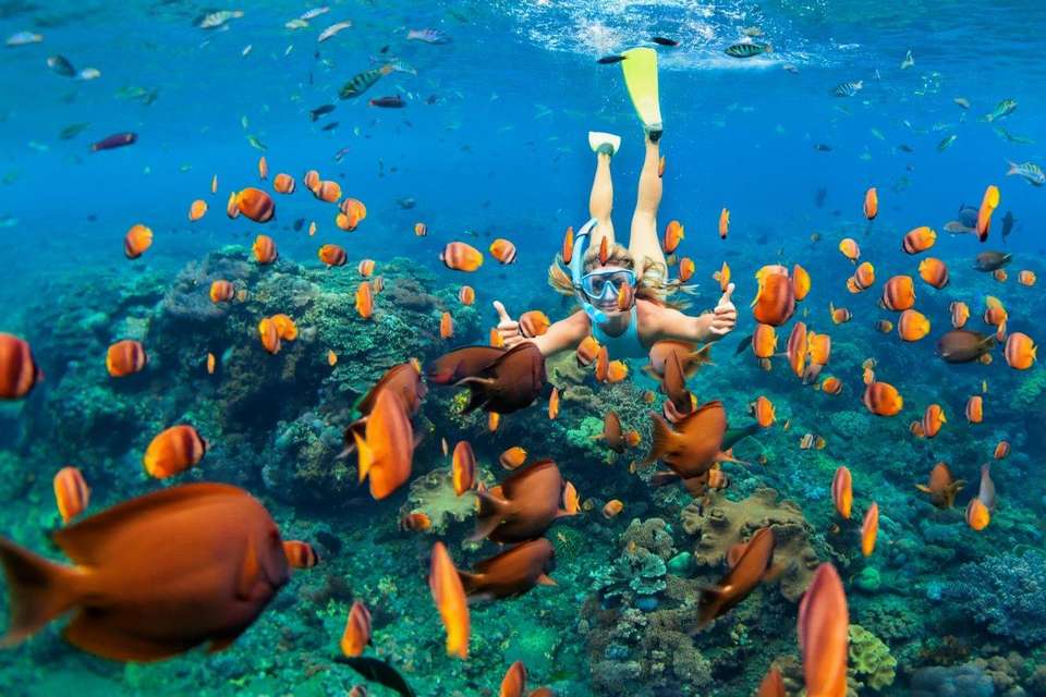 Exploring Maldives: Fihalhohi, Maafushi And Kuda Bandos Islands - undefined - Image 3