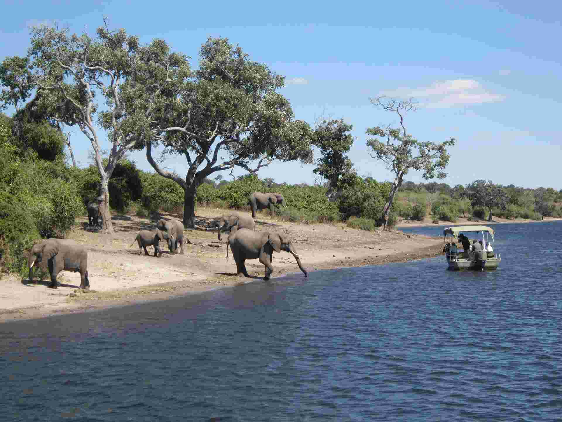 Exploring South Africa, Victoria Falls & Botswana 