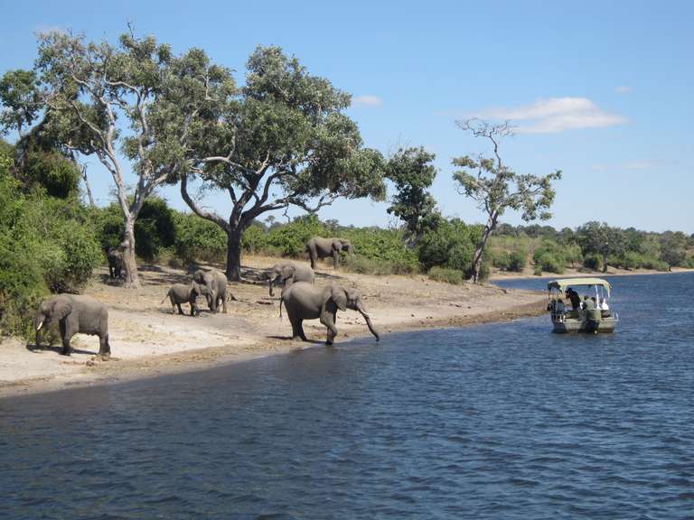 Exploring South Africa, Victoria Falls & Botswana  trip - alternative tour available