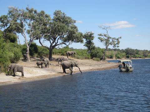Exploring South Africa, Victoria Falls, And Botswana - April 2027