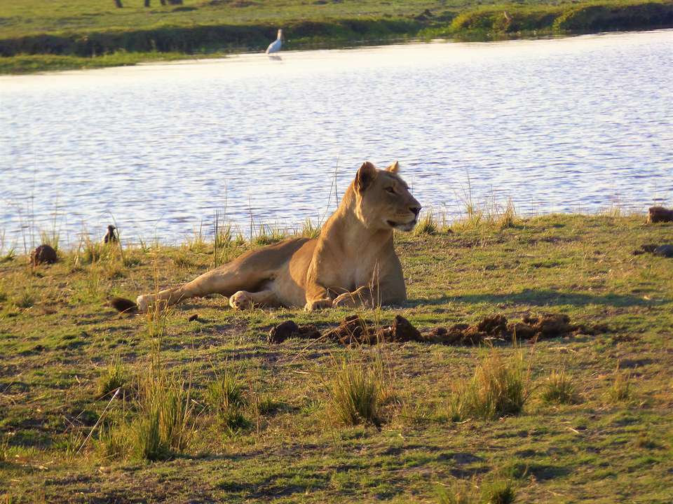 Exploring South Africa, Victoria Falls, and Botswana - Collette Tours - South Africa - Image 3