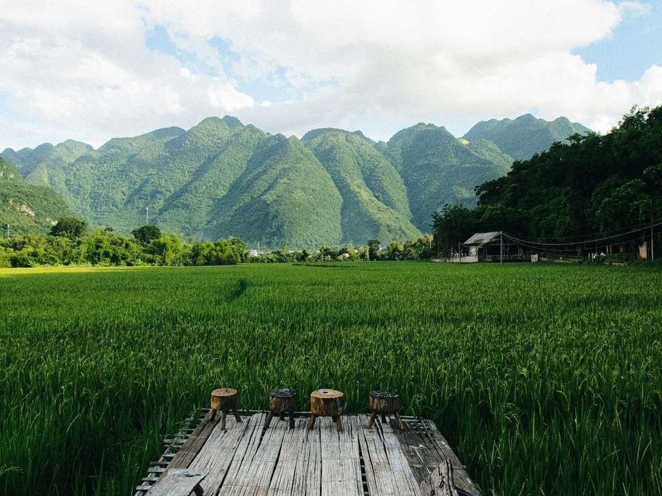 Exquisite Vietnam Luxury Tour - 13 days - On The Go Tours - Vietnam - Image 5