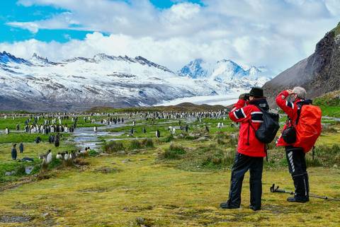 South America Eco Tours: Extended Falklands, South Georgia And Antarctica (ocean Nova)