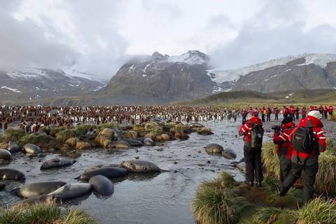South America Eco Tours: Falkland Islands, South Georgia & Antarctica (ocean Victory)