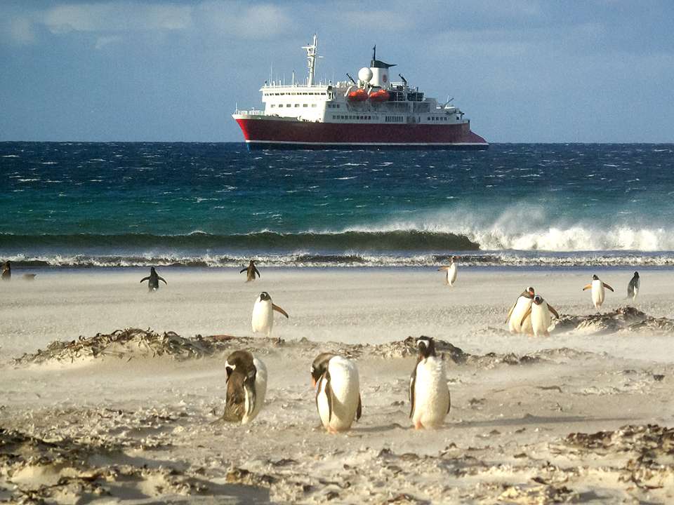 Falklands, South Georgia & Antarctica - G Adventures - Uruguay - Image 16