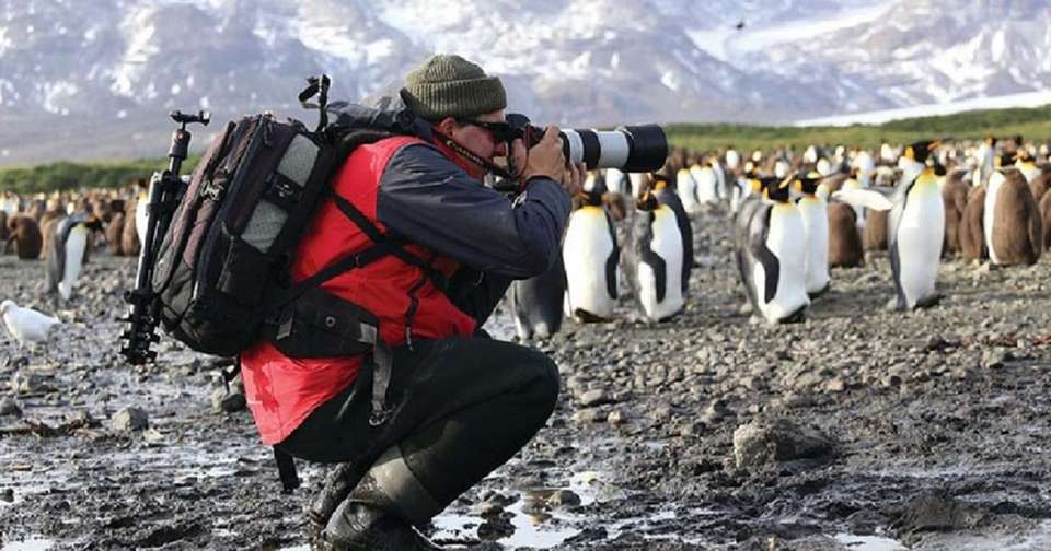 Falklands, South Georgia and Antarctica - M/V Greg Mortimer - Explore - Argentina - Image 2