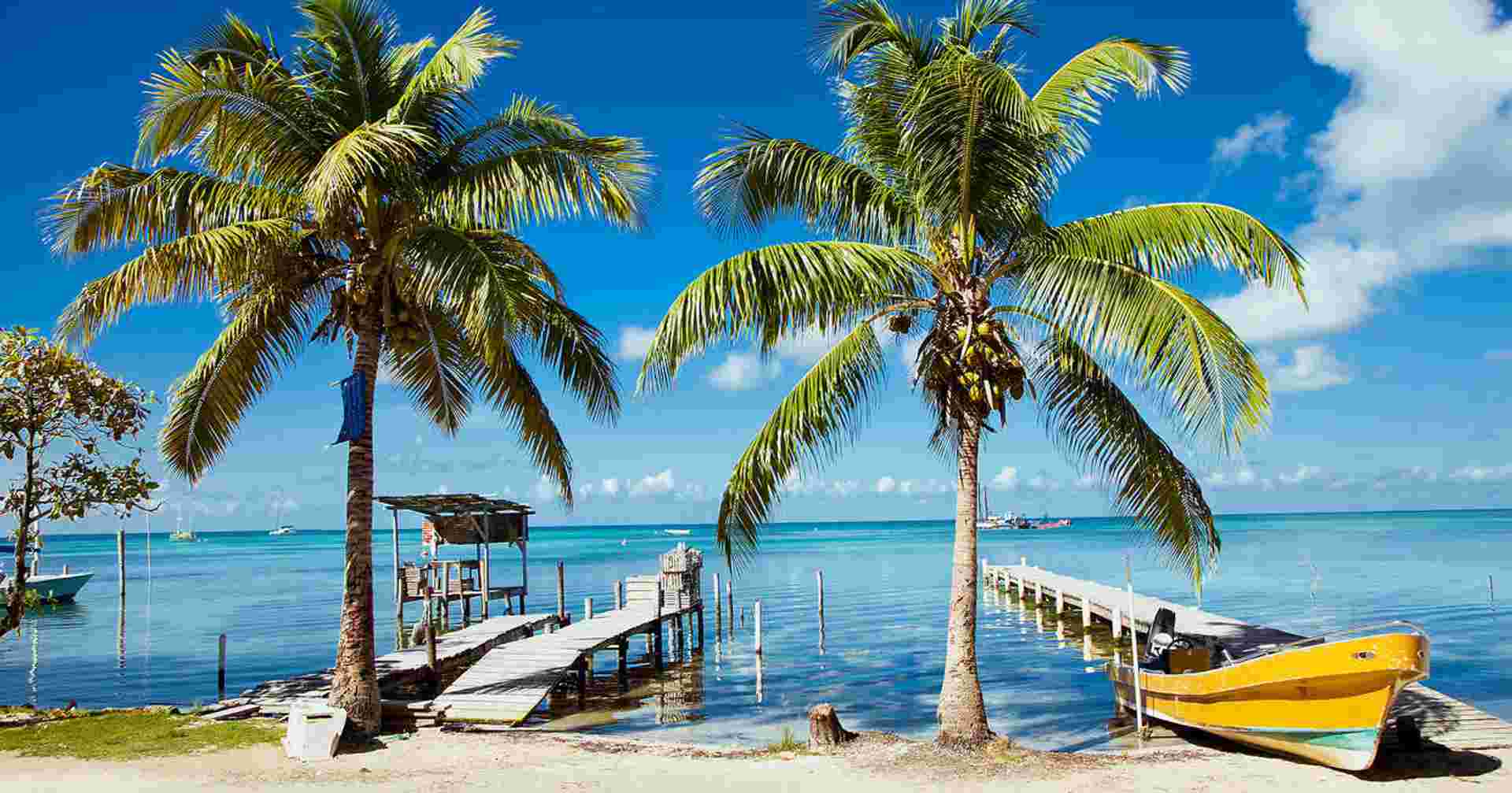 Family Belize Wildlife Adventure