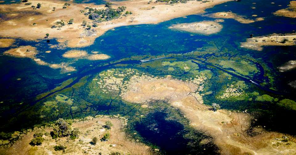 Family Botswana and Zimbabwe Safari Adventure - Explore - Zimbabwe