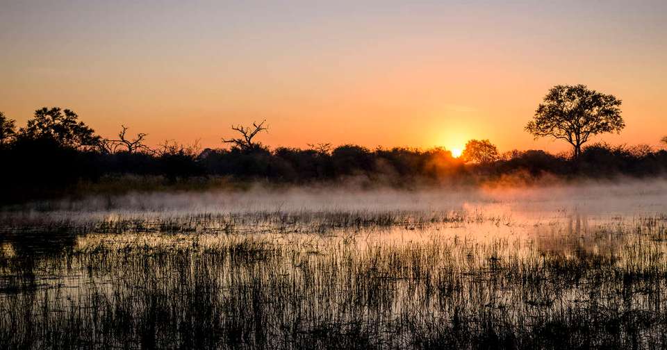 Family Botswana and Zimbabwe Safari Adventure - Explore - Zimbabwe