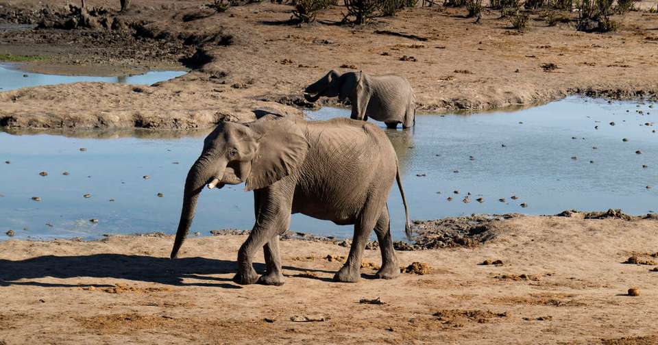 Family Botswana and Zimbabwe Safari Adventure - Explore - Zimbabwe